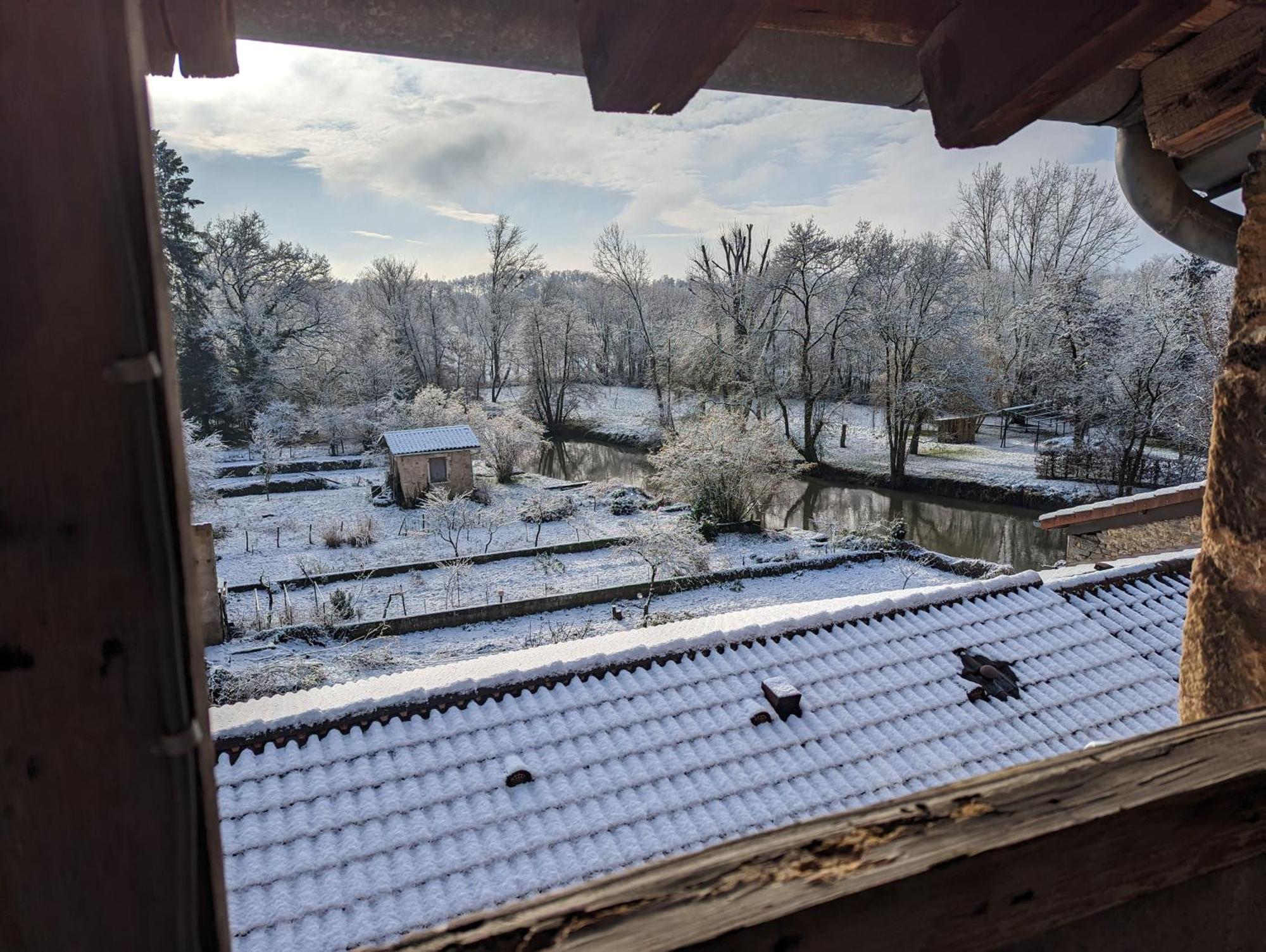 Le Cinoche, Cocon Sous Les Toits Lägenhet Pont-de-Vaux Exteriör bild